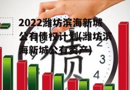 2022潍坊滨海新城公有债权计划(潍坊滨海新城公有资产)