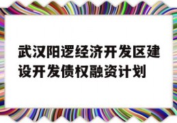 武汉阳逻经济开发区建设开发债权融资计划