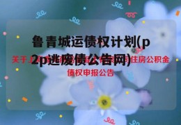 鲁青城运债权计划(p2p逃废债公告网)