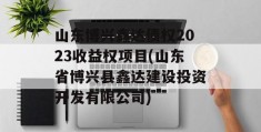 山东博兴鑫达债权2023收益权项目(山东省博兴县鑫达建设投资开发有限公司)