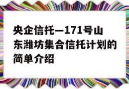 央企信托—171号山东潍坊集合信托计划的简单介绍