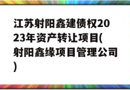 江苏射阳鑫建债权2023年资产转让项目(射阳鑫缘项目管理公司)
