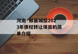 河南·郏县城投2023年债权转让项目的简单介绍