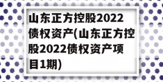 山东正方控股2022债权资产(山东正方控股2022债权资产项目1期)