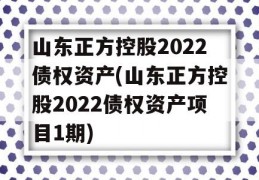 山东正方控股2022债权资产(山东正方控股2022债权资产项目1期)