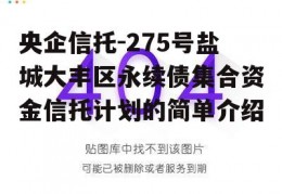 央企信托-275号盐城大丰区永续债集合资金信托计划的简单介绍