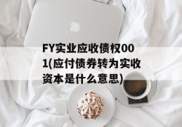 FY实业应收债权001(应付债券转为实收资本是什么意思)