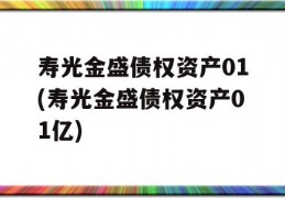 寿光金盛债权资产01(寿光金盛债权资产01亿)