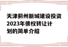 天津蓟州新城建设投资2023年债权转让计划的简单介绍