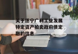 关于遂宁广利工业发展特定资产拍卖政府债定融的信息