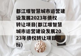 都江堰智慧城市运营建设发展2023年债权转让项目(都江堰智慧城市运营建设发展2023年债权转让项目招标)