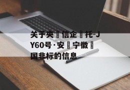 关于央‮信企‬托-JY60号·安‮宁徽‬国非标的信息