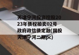 天津宁河投资控股2023年债权拍卖02号政府政信债定融(国投天津宁河二期pc)