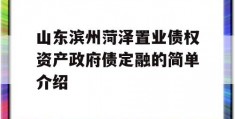 山东滨州菏泽置业债权资产政府债定融的简单介绍