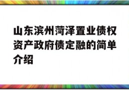 山东滨州菏泽置业债权资产政府债定融的简单介绍