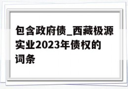 包含政府债_西藏极源实业2023年债权的词条