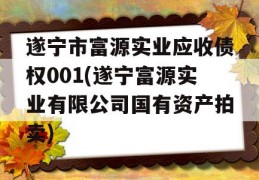 遂宁市富源实业应收债权001(遂宁富源实业有限公司国有资产拍卖)