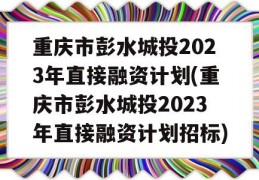 重庆市彭水城投2023年直接融资计划(重庆市彭水城投2023年直接融资计划招标)