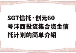 SGT信托·创元60号沣西投资集合资金信托计划的简单介绍