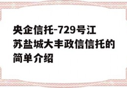 央企信托-729号江苏盐城大丰政信信托的简单介绍