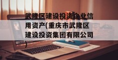 武隆区建设投资企业信用资产(重庆市武隆区建设投资集团有限公司)