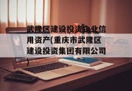 武隆区建设投资企业信用资产(重庆市武隆区建设投资集团有限公司)