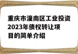 重庆市潼南区工业投资2023年债权转让项目的简单介绍