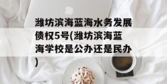 潍坊滨海蓝海水务发展债权5号(潍坊滨海蓝海学校是公办还是民办)