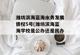 潍坊滨海蓝海水务发展债权5号(潍坊滨海蓝海学校是公办还是民办)