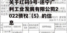 关于红码9号-遂宁广利工业发展有限公司2022债权（5）的信息