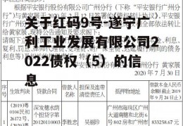 关于红码9号-遂宁广利工业发展有限公司2022债权（5）的信息