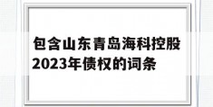 包含山东青岛海科控股2023年债权的词条