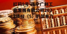 红码9号-遂宁广利工业发展有限公司2022债权（5）的简单介绍