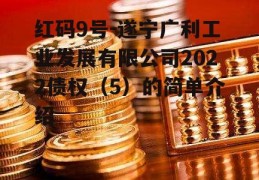 红码9号-遂宁广利工业发展有限公司2022债权（5）的简单介绍