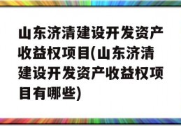 山东济清建设开发资产收益权项目(山东济清建设开发资产收益权项目有哪些)