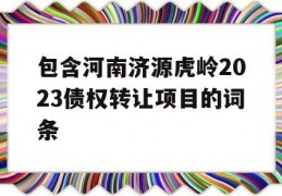 包含河南济源虎岭2023债权转让项目的词条