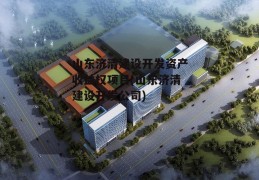 山东济清建设开发资产收益权项目(山东济清建设开发公司)