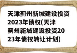 天津蓟州新城建设投资2023年债权(天津蓟州新城建设投资2023年债权转让计划)