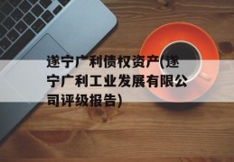 遂宁广利债权资产(遂宁广利工业发展有限公司评级报告)