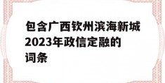 包含广西钦州滨海新城2023年政信定融的词条