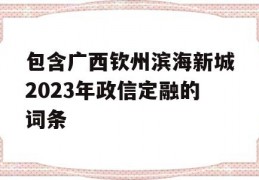 包含广西钦州滨海新城2023年政信定融的词条