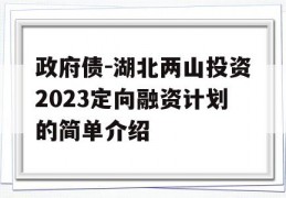 政府债-湖北两山投资2023定向融资计划的简单介绍