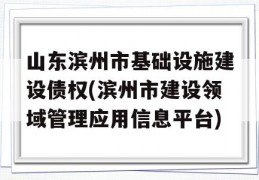 山东滨州市基础设施建设债权(滨州市建设领域管理应用信息平台)