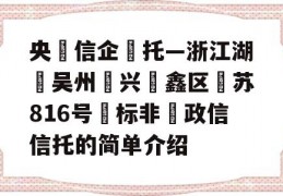 央‮信企‬托—浙江湖‮吴州‬兴‮鑫区‬苏816号‮标非‬政信信托的简单介绍