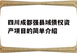 四川成都强县域债权资产项目的简单介绍