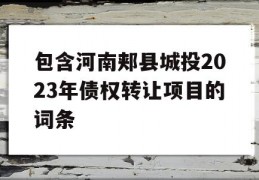 包含河南郏县城投2023年债权转让项目的词条