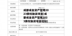 成都成金资产管理2023债权融资项目(成都成金资产管理2023债权融资项目招标)