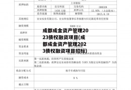 成都成金资产管理2023债权融资项目(成都成金资产管理2023债权融资项目招标)