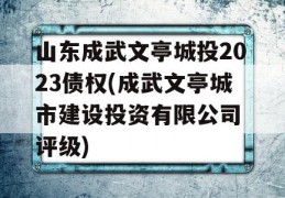 山东成武文亭城投2023债权(成武文亭城市建设投资有限公司 评级)