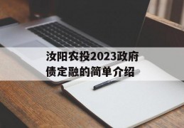 汝阳农投2023政府债定融的简单介绍